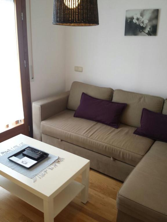Apartamento Bielsa-Monte Perdido Oda fotoğraf